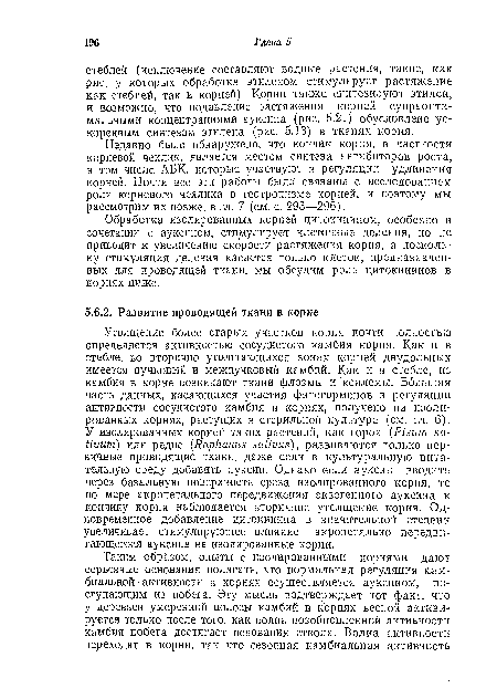 Недавно было обнаружено, что кончик корня, в частности корневой чехлик, является местом синтеза ингибиторов роста, в том числе АБК, которые участвуют в регуляции удлинения корней. Почти все эти работы были связаны с исследованием роли корневого чехлика в геотропизме корней, и поэтому мы рассмотрим их позже, в гл. 7 (см. с. 293—296) .