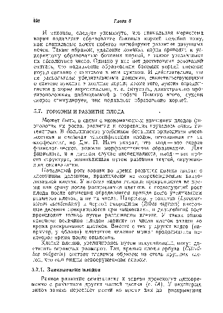 Клетки плодов, увеличиваясь путем вакуолизации, могут достигать огромных размеров. Так, зрелые плоды арбуза (Citrul-lus vulgaris) состоят главным образом из столь крупных клеток, что они видны невооруженным глазом.