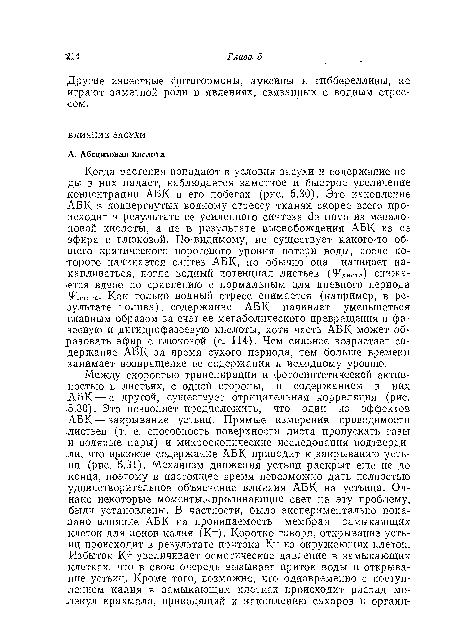 Другие известные фитогормоны, ауксины и гиббереллины, не играют заметной роли в явлениях, связанных с водным стрессом.