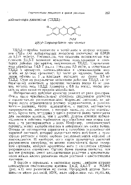 Избирательное действие ауксинов зависит от ряда факторов. Очень часто чувствительными являются двудольные растения с горизонтально расположенными широкими листьями, иа которых после опрыскивания раствор задерживается, а устойчивыми— растения, часто однодольные, с узкими, вертикально направленными листьями, с которых капельки легко скатываются. Кроме того, эпидерма у одних растений более проницаема для растворов ауксина, чем у других. Другая причина избирательности в действии гербицидов при обработке ими почвы связана с их растворимостью в воде. Например, слабополярный гербицид может адсорбироваться в поверхностных слоях почвы. Отсюда он поглощается сорняками с неглубоко расположенной корневой системой, которые вследствие этого погибают, а культурные растения с более глубоко расположенными корнями не повреждаются. И наоборот, если корни культурных растений расположены неглубоко, то можно использовать более полярный гербицид, который просочится вниз и поглотится глубоко укорененными сорняками. Однако более важное значение, чем все эти факторы, имеет наследственное различие в чувствительности живых клеток различных видов растений к синтетическим ауксинам.