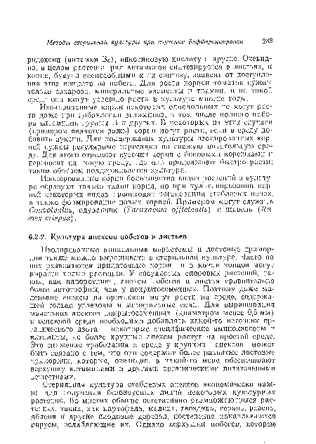 Изолированные корпи большинства видов растений в культуре образуют только ткани корпя, по при культивировании корней некоторых видов происходят регенерация стеблевых почек, а также формирование новых корней. Примером могут служить Convolvulus, одуванчик (Taraxacum officinalis) п щавель (Ru-mex crispus).