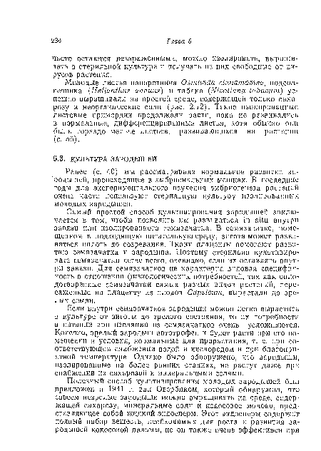 Самый простой способ культивирования зародышей заключается в том, чтобы позволить им развиваться in situ внутри завязи или изолированного семязачатка. В семязачатке, помещенном в подходящую питательную среду, зигота может развиваться вплоть до созревания. Ткани плаценты помогают развитию семязачатка и зародыша. Поэтому стерильно культивировать семязачатки легче всего, очевидно, если их оставлять внутри завязи. Для семязачатков не характерна видовая специфичность в отношении физиологических потребностей, так как оплодотворенные семязачатки самых разных видов растений, пересаженные на плаценту из плодов Capsicum, вырастали до зрелых семян.