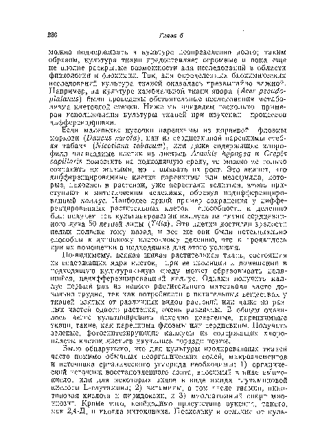 По-видимому, всякая живая растительная ткань, состоящая из содержащих ядра клеток, при ее изоляции и помещении в подходящую культуральную среду может образовывать делящийся, недифференцированный каллус. Однако получить каллус первый раз из нового растительного материала часто довольно трудно, так как потребности в питательных веществах у тканей, взятых от различных видов растений или даже из разных частей одного растения, очень различны. В общем оказалось легче культивировать исходно незеленые, паренхимные ткани, такие, как паренхима флоэмы или сердцевины. Получать зеленые, фотосинтезирующие каллусы из содержащих хлоропласта клеток листьев научились гораздо позже.