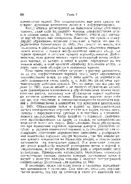 Если конец отрезка стебля погрузить в раствор цитокинина, -то на его морфологически верхнем конце могут образоваться многочисленные почки, но корни либо вообще не развиваются, .либо развиваются очень слабо, т. е. действие цитокинина противоположно действию ауксина. Тем не менее, как мы уже видели (с. 240), ауксин может и не вызвать образования корней, если концентрация цитокининов в обрабатываемых тканях недостаточно высока, поскольку для образования корней необходимо активное клеточное деление. Корневые черенки ведут себя так же, как стеблевые, в отношении полярности заложения кор-.ней и стеблевых почек и влияний на них ауксинов и цитокининов (с. 240). Образование почек и корней на противоположных концах изолированных отрезков стебля или корня, по-видимому, связано с передвижением ауксина и цитокинина в противоположных направлениях. Когда какой-то из гормонов накапливается преимущественно на одном из концов, то соответственно возникают почки или корни. Действительно, было обнаружено, что при помещении корневых черенков цикория (Cichorium in-tybus) в условия повышенной влажности, благоприятной для регенерации, происходят определенные изменения в распределении эндогенных гормонов внутри черенков , так что концентрация ауксина повышается на базальных концах, а концентрация цитокинина — на апикальных концах. Эти изменения происходят ранее какой-либо видимой регенерации почек и корней и, следовательно, могут играть важную роль в определении типа регенерации. Приведенные наблюдения, безусловно, полностью соответствуют данным, согласно которым регенерация почек и корней в культуре каллуса связана с высокой концентрацией .соответственно цитокинина или ауксина (с. 240).