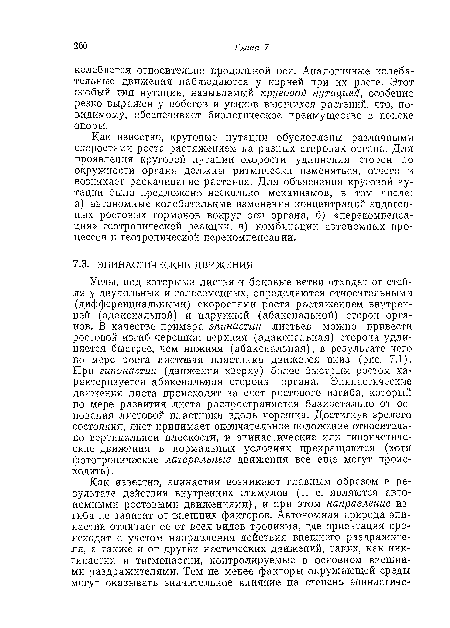 Как известно, круговые нутации обусловлены различными скоростями роста растяжением на разных сторонах органа. Для проявления круговой нутации скорости удлинения сторон по окружности органа должны ритмически изменяться, отчего и возникает раскачивание растения. Для объяснения круговой нутации было предложено несколько механизмов, в том числе: а) автономные колебательные изменения концентраций эндогенных ростовых гормонов вокруг оси органа, б) «перекомпенса-ция» геотропической реакции, в) комбинации автономных процессов и геотропической перекомпенсации.