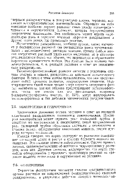 Тропическое движение органа растения в ответ на внешний химический раздражитель называется хемотропизмом. Примером хемотропизма может служить рост пыльцевой трубки в столбике по направлению к семязачатку; такой направленный рост пыльцевой трубки обусловлен наличием в семязачатке и стенках завязи определенных химических веществ, точная природа которых неизвестна.