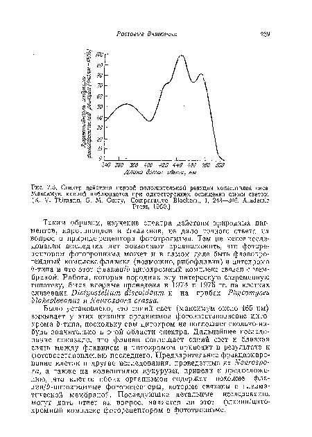 Спектр действия первой положительной реакции колеоптилей овса. Максимум кривой наблюдается при одностороннем освещении синим светом. (K. V. Thimann, G. М. Curry, Comparative Biochem., 1, 243—306, Academic