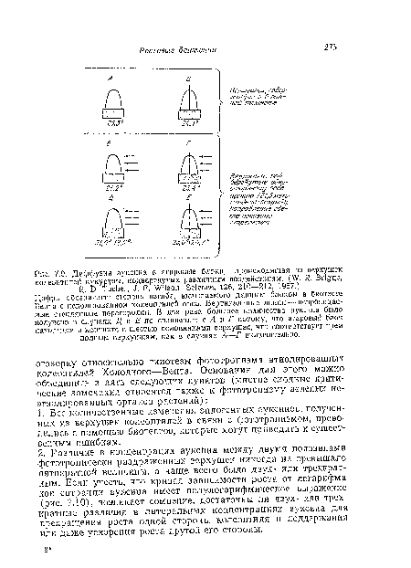 Диффузия ауксина в агаровые блоки, происходящая из верхушек колеоптилей кукурузы, подвергнутых различным воздействиям. (W. R, Briggs, Я. D. Tocher, J. F. Wilson, Science, 126, 210—212, 1957.)