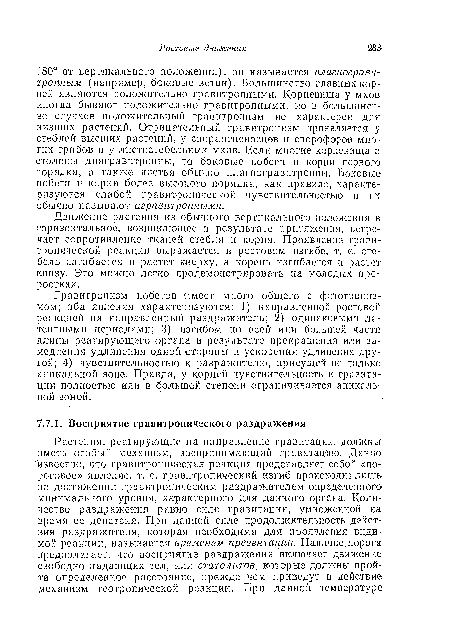 Движение растения из обычного вертикального положения в горизонтальное, возникающее в результате притяжения, встречает сопротивление тканей стебля и корпя. Проявление гравитропической реакции выражается в ростовом изгибе, т. е. стебель изгибается и растет кверху, а корень изгибается и растет книзу. Это можно легко продемонстрировать на молодых проростках.