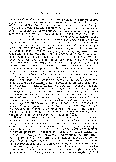 Если в корне восприятие гравитации ограничивается лишь апикальной зоной, то, как сейчас уже достаточно ясно, стебель двудольного растения или колеоптиля способен воспринимать этот раздражитель по всей длине. У зрелых побегов злаков гра-витропическнй изгиб происходит только в узлах. Эксперименты па изолированных узлах дикорастущих и культурных злаков показали, что как те, так и другие обладают способностью воспринимать направление действия гравитации и проявляют дифференциальный рост в пределах самого узла. Таким образом, во всех изученных типах структур побега пет продольного деления на зону восприятия раздражения и зону ответной реакции и, следовательно, гравитропизм побегов не включает4 механизм продольной передачи сигнала, как часто считалось в течение многих лет (иная ситуация наблюдается в корнях —см. ниже).