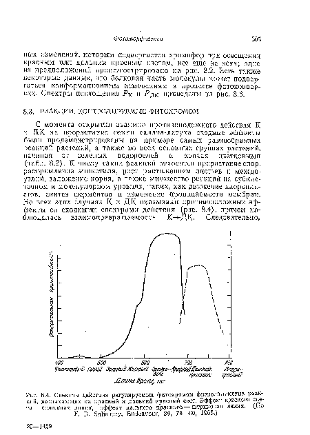 Спектры действия регулируемых фитохромом физиологических реакций, возникающих  на красный и дальний красный свет. Эффект красного света— сплошная линия, эффект дальнего красного — штриховая линия. (По F. В. Salisbury, Endeavour, 24, 78—80, 1965.)