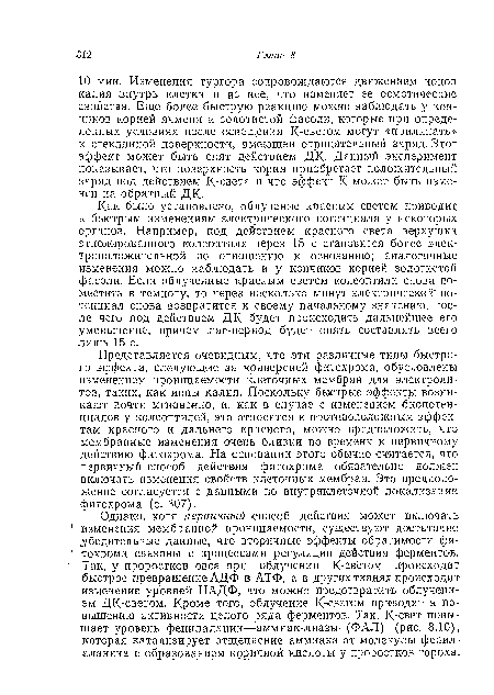 Представляется очевидным, что эти различные типы быстрого эффекта, следующие за конверсией фитохрома, обусловлены изменением проницаемости клеточных мембран для электролитов, таких, как ионы калия. Поскольку быстрые эффекты возникают почти мгновенно, и, как в случае с изменением биопотенциалов у колеоптилей, это относится к противоположным эффектам красного и дальнего красного, можно предположить, что мембранные изменения очень близки по времени к первичному действию фитохрома. На основании этого обычно считается, что первичный способ действия фитохрома обязательно должен включать изменения свойств клеточных мембран. Это предположение согласуется с данными по внутриклеточной локализации фитохрома (с. 307).