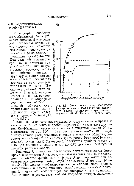 Зависимость между равновесием ¿штохрома (ф) и коэффициентом квантового потока (£) при различных световых режимах. (М. G. Holmes, Н. Smith, 1977.)