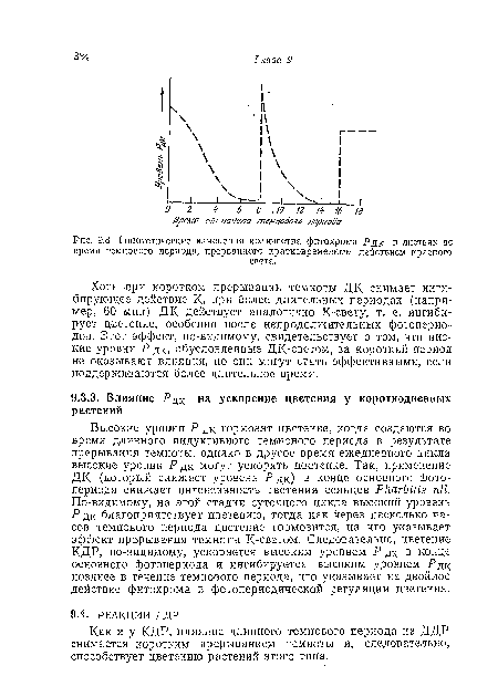 Как и у КДР, влияние длинного темнового периода на ДДР снимается коротким прерыванием темноты и, следовательно, способствует цветению растений этого типа.