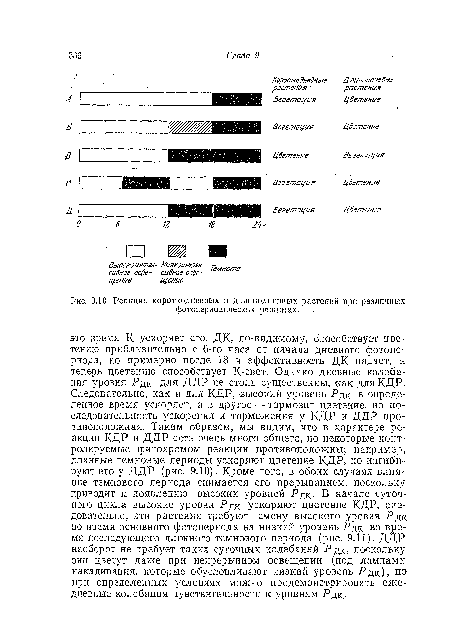 Реакция короткодиевных и длиннодиевных растений при различных фотопериодических режимах.