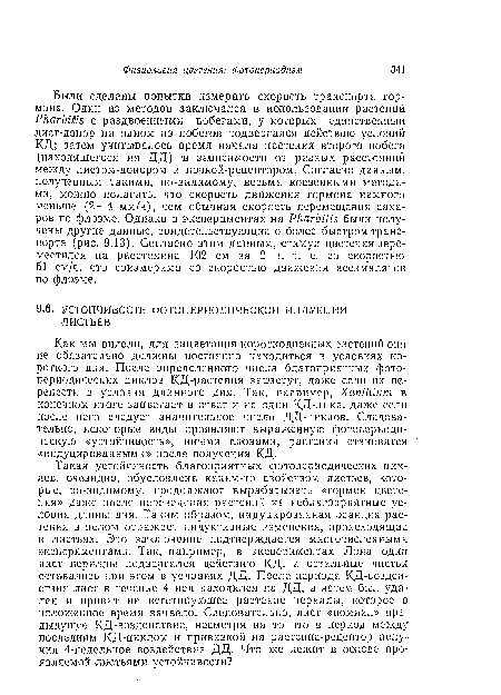 Были сделаны попытки измерить скорость транспорта гормона. Один из методов заключался в использовании растений РкагЬШБ с раздвоенными побегами, у которых единственный лист-донор на одном из побегов подвергался действию условий КД; затем учитывалось время начала цветения второго побега (находящегося на ДД) в зависимости от разных расстояний между листом-донором и почкой-рецептором. Согласно данным, полученным такими, по-видимому, весьма косвенными методами, можно полагать, что скорость движения гормона намного меньше (2—4 мм/ч), чем обычная скорость перемещения сахаров по флоэме. Однако в экспериментах на РкагЬШБ были получены другие данные, свидетельствующие о более быстром транспорте (рис. 9.13). Согласно этим данным, стимул цветения переместился на расстояние 102 см за 2 ч, т. е. со скоростью 51 см/ч, что соизмеримо со скоростью движения ассимилятов по флоэме.