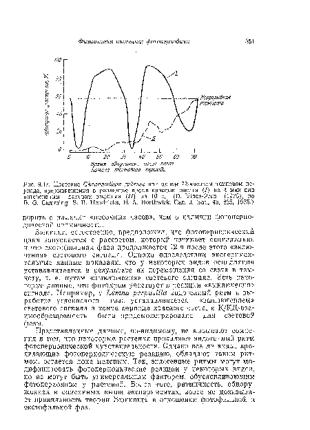 Представленные данные, по-видимому, не вызывают сомнения в том, что некоторые растения проявляют эндогенный ритм фотопериодической чувствительности. Однако все ли виды, проявляющие фотоиериодическую реакцию, обладают таким ритмом, остается пока неясным. Так, эндогенные ритмы могут модифицировать фотопериодические реакции у некоторых видов, но не могут быть универсальным фактором, обусловливающим фотопериодизм у растений. Более того, ритмичность, обнаруженная в описанных выше экспериментах, вовсе не доказывает правильность теории Бюиииига в отношении фотофилы-юй и екотофильной фаз.