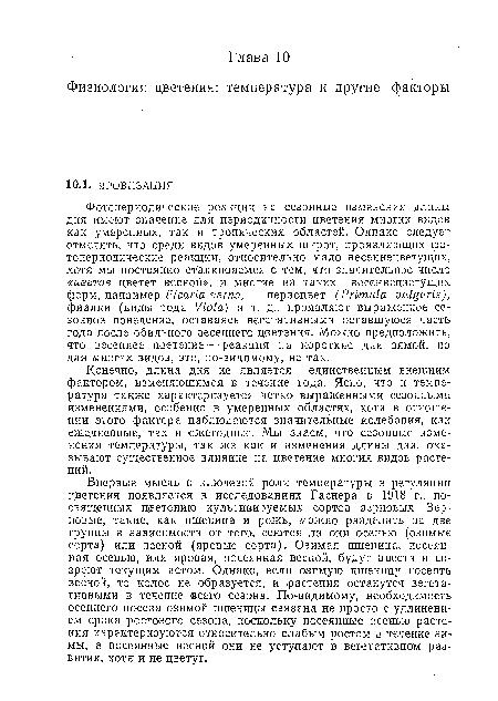 Впервые мысль о ключевой роли температуры в регуляции цветения появляется в исследованиях Гаснера в 1918 г., посвященных цветению культивируемых сортов зерновых, Зерновые, такие, как пшеница и рожь, можно разделить на две группы в зависимости от того, сеются ли они осенью (озимые сорта) или весной (яровые сорта). Озимая пшеница, посеянная осенью, или яровая, посеянная весной, будут цвести и созреют текущим летом. Однако, если озимую пшеницу посеять весной, то колос не образуется, и растения останутся вегетативными в течение всего сезона. По-видимому, необходимость осеннего посева озимой пшеницы связана не просто с удлинением срока ростового сезона, поскольку посеянные осенью растения характеризуются относительно слабым ростом в течение зимы, а посеянные весной они не уступают в вегетативном развитии, хотя и не цветут.