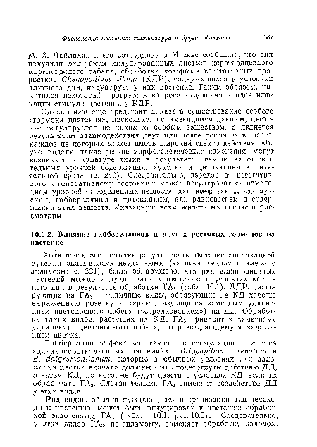 М. X. Чайлахян и его сотрудники в Москве сообщили, что они получили экстракты индуцированных листьев короткодневного мэрилендского табака, обработка которыми вегетативных проростков Chenopodium album (КДР), содержащихся в условиях длинного дня, индуцирует у них цветение. Таким образом, наметился некоторый прогресс в вопросе выделения и идентификации стимула цветения у КДР.