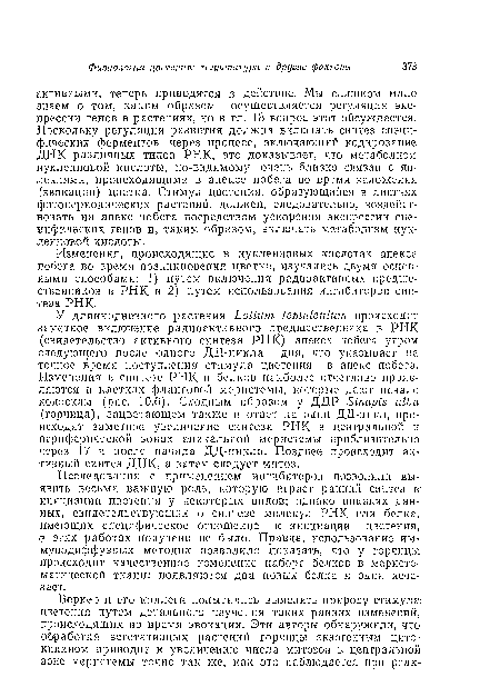 Изменения, происходящие в нуклеиновых кислотах апекса побега во время возникновения цветка, изучались двумя основными способами: 1) путем включения радиоактивных предшественников в РНК и 2) путем использования ингибиторов синтеза РНК.