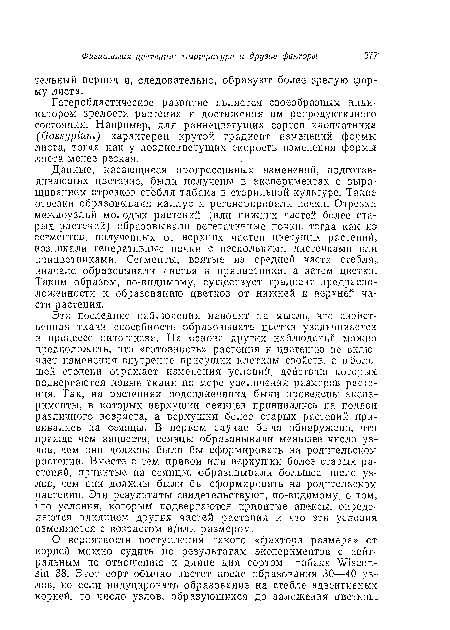 Эти последние наблюдения наводят на мысль, что свойственная ткани способность образовывать цветки увеличивается в процессе онтогенеза. На основе других наблюдении можно предположить, что «готовность» растения к цветению не. включает изменения внутренне присущих клеткам свойств, а в большей степени отражает изменения условий, действию которых подвергаются новые ткани по мере увеличения размеров растения. Так, на растениях подсолнечника были проведены эксперименты, в которых верхушки сеянцев прививались на подвои различного возраста, а верхушки более старых растений прививались на сеянцы. В первом случае было обнаружено, что прежде чем зацвести, сеянцы образовывали меньшее число узлов, чем они должны были бы сформировать на родительском растении. Вместе с тем привои или верхушки более старых растений, привитые на сеянцы, образовывали большее число узлов, чем они должны были бы сформировать на родительском: растении. Эти результаты свидетельствуют, по-видимому, о том, что условия, которым подвергаются привитые апексы, определяются влиянием других частей растения и что эти условия изменяются с возрастом и/или размером.