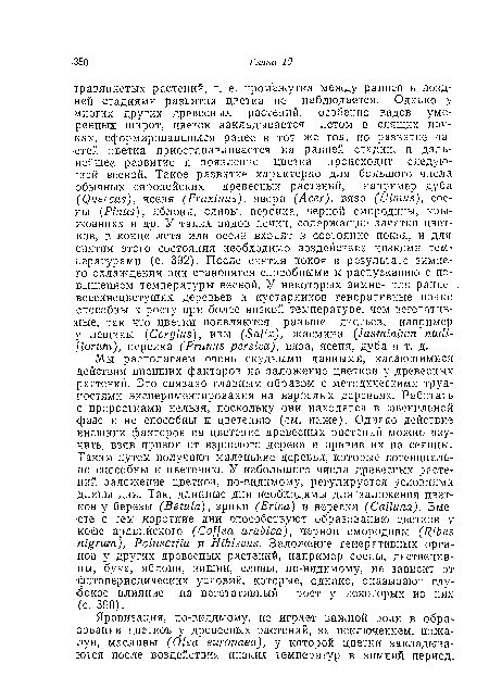 Яровизация, по-видимому, не играет важной роли в образовании цветков у древесных растений, за исключением, пожалуй, маслины (Olea еигораеа), у которой цветки закладываются после воздействия низких температур в зимний период.