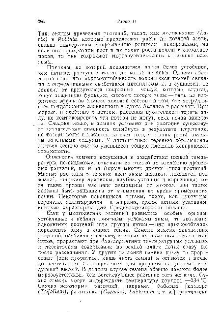 Опасность зимнего иссушения и воздействия низкой температуры, по-видимому, повлияли не только на эволюцию древесных растений, но и на форму многих других типов растений. Многие растения в течение всей зимы целиком находятся под землей, например луковицы, клубнелуковицы и корневища; хотя такие органы частично защищены от мороза, они также должны быть защищены от высыхания во время промерзания почвы. Некоторые покоящиеся органы, такие, как луковицы, вероятно, адаптируются к жарким, сухим летним условиям, которые характерны для Средиземноморской области.