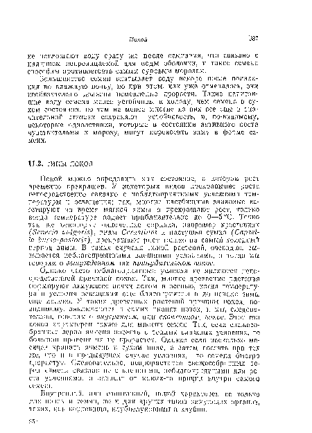 Внутренний, или спонтанный, покой характерен по только для почек и семян, но и для других типов зимующих органов, таких, как корневища, клубнелуковицы и клубпи.