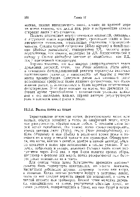 Хорошо известно, что для широко распространенных видов древесных растений, таких, как Pinus silvestris, Picea abies, в отношении фотопериодической реакции характерны заметные экотипические различия в зависимости от широты и высоты места произрастания. Северным расам для активного роста растяжением требуются более длинные фотопериоды, чем более южным расам, адаптированным к более коротким естественным фотопериодам. Этот факт наводит на мысль, что древесные растения лучше приспособлены к естественным условиям длины дня и что последние, видимо, играют важную регулирующую роль в сезонном цикле роста и покоя.