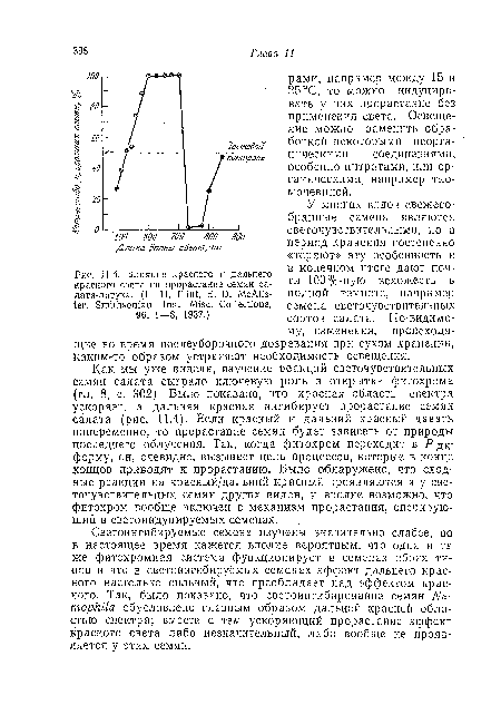 У многих видов свежесобранные семена являются светочувствительными, по в период хранения постепенно «теряют» эту особенность и в конечном итоге дают почти 100%-ную всхожесть в полной темноте, например семена светочувствительных сортов салата. По-видимому, изменения, происходящие во время послеуборочного дозревания при сухом хранении, каким-то образом устраняют необходимость освещения.