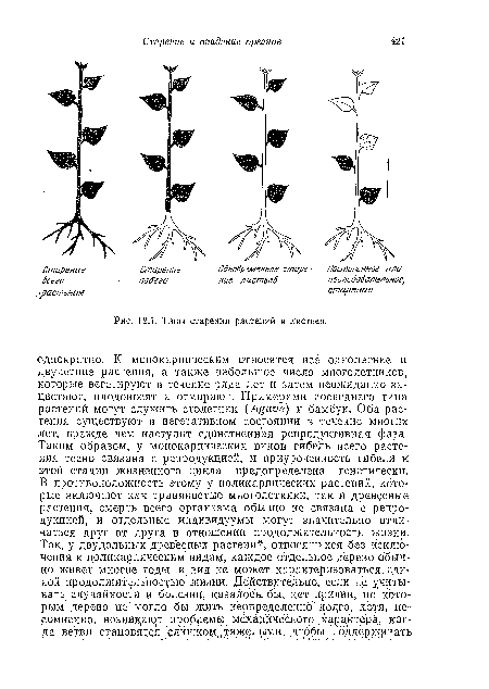 Типы старения растений и листьев.