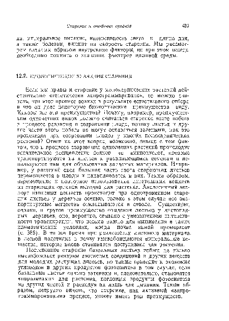 Если мы правы и старение у монокарпических растений действительно «генетически запрограммировано», то можно считать, что этот процесс возник в результате естественного отбора и что он дает некоторые биологические преимущества виду. Каковы же эти преимущества? Почему, например, преимуществом однолетних видов должно считаться старение всего побега в процессе развития и созревания плода, почему листья и другие части этого побега не могут оставаться зелеными, как это происходит при созревании плодов у многих поликарпических растений? Ответ на этот вопрос, возможно, связан с тем фактом, что в процессе созревания однолетних растений происходит значительное расщепление белков до аминокислот, которые транспортируются из листьев к развивающимся семенам и используются там для образования запасных материалов. Например, у растений овса большая часть азота стареющих листьев перемещается в плоды и накапливается в них. Таким образом, перемещение и повторное использование питательных веществ из стареющих органов выгодно для растения. Аналогичный экспорт запасных веществ происходит при одновременном старении листьев у деревьев осенью, только в этом случае все экспортируемые вещества откладываются в стволе. Существует, однако, и другое преимущество опадения листьев у листопадных деревьев, оно, вероятно, связано с уменьшением интенсивности транспирации, что весьма важно для выживания в таких климатических условиях, когда почва зимой промерзает (с. 386). В то же время при разложении листового материала в лесной подстилке в почву высвобождаются минеральные вещества, которые вновь становятся доступными для растения.