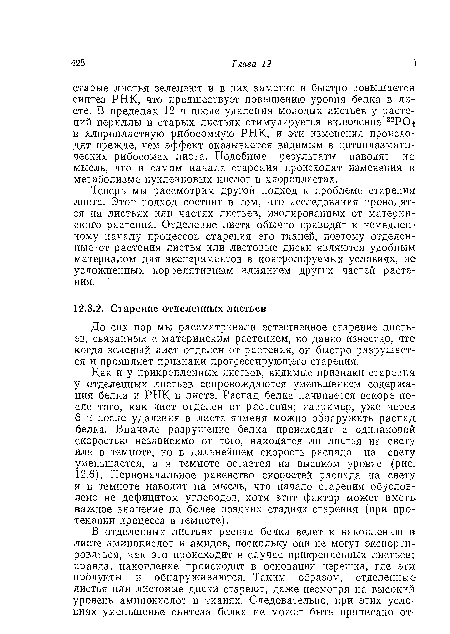 До сих пор мы рассматривали естественное старение листьев, связанных с материнским растением, но давно известно, что когда зеленый лист отделен от растения, он быстро разрушается и проявляет признаки прогрессирующего старения.