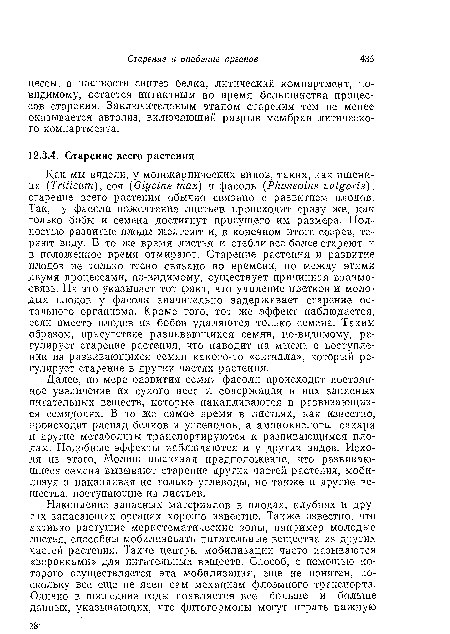 Как мы видели, у монокарпических видов, таких, как пшеница (Triticum), соя (Glycine max) и фасоль (Phaseolus vulgaris), старение всего растения обычно связано с развитием плодов. Так, у фасоли пожелтение листьев происходит сразу же, как только бобы и семена достигнут присущего им размера. Полностью развитые плоды желтеют и, в конечном итоге созрев, теряют воду. В то же время листья и стебли все более стареют и в положенное время отмирают. Старение растения и развитие плодов не только тесно связано во времени, но между этими двумя процессами, по-видимому, существует причинная взаимосвязь. На это указывает тот факт, что удаление цветков и молодых плодов у фасоли значительно задерживает старение остального организма. Кроме того, тот же эффект наблюдается, если вместо плодов из бобов удаляются только семена. Таким образом, присутствие развивающихся семян, по-видимому, регулирует старение растения, что наводит на мысль о поступлении из развивающихся семян какого-то «сигнала», который регулирует старение в других частях растения.