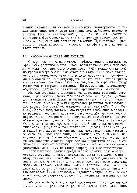 Синхронное старение листьев, наблюдаемое у листопадных .древесных растений осенью, столь впечатляюще, что с ним свя-.зано само название этого сезона года «fall» (падать, падение) по крайней мере в Америке. Этот тип старения листьев отличается от постепенного старения в двух отношениях. Во-первых, •он в большей степени регулируется факторами внешней среды, чем «внутренними» факторами, такими, как конкуренция между молодыми и старыми листьями. Во-вторых, он, по-видимому, обусловлен действием различных гормональных факторов.