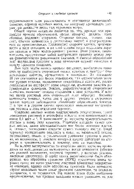 Для того чтобы понять процесс опадения, необходимо выяснить ту особенность стареющей ткани, которая инициирует биохимические события, приводящие к опадению. За последние 10 лет становится все более очевидным, что относительно высокие уровни этилена, выделяемые стареющими клетками, расположенными по периферии зоны онаделшя, являются важным регулирующим фактором. Этилен, вырабатываемый стареющими клетками, вызывает процесс отделения в зоне опадения. У многих видов растений весь стареющий лист образует большие количества этилена, тогда как у других только в стареющих ткаиях черешка наблюдается повышение образования этилена. И в том п в другом случае происходит повышение концентрации этилена в зоне отделения черешка.