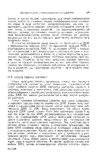 В понятие экспрессии генов входит: 1) транскрипция ДНК с образованием ядерной РНК, 2) процессинг ядерной РНК с образованием матричной РНК, 3) трансляция мРНК с передачей заключенной в ней информации в последовательность аминокислот, включающихся в белок, 4) участие ферментов в различных реакциях с образованием конечных продуктов экспрессии генов. Основные черты этих процессов хорошо известны, и здесь не следует останавливаться на них подробно. Однако, прежде чем обсуждать регуляцию избирательной экспрессии генов в развитии, мы рассмотрим строение и организацию генома эукариот.