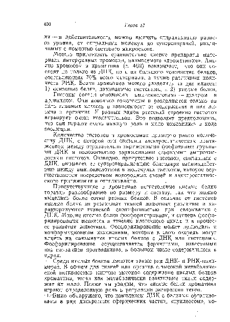 Присутствующие в хроматине негистоновые кислые белки гораздо разнообразнее по размеру и составу, так что молено выделить более сотни разных белков. В отличие от гистонов кислые белки из различных тканей животных различны и характеризуются тканевой специфичностью при связывании с ДНК- Многие кислые белки фосфорилированы, и степень фосфо-рилирования меняется в течение клеточного цикла и в процессе развития животных. Фосфорилирование может приводить к конформационным изменениям, которые в свою очередь могут влиять на связывание кислых белков с ДНК или гистонами. Фосфорилирование осуществляется ферментами, известными под названием протеиикиназ, в большом числе содержащихся в ядрах.