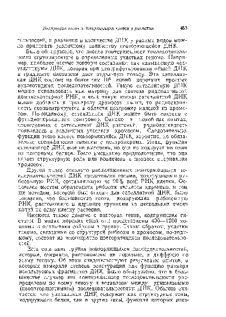 Было обнаружено, что иногда повторяющиеся последовательности сгруппированы в определенных участках генома. Например, наиболее частые повторы составляют так называемую «са-теллитиую» ДИК, которая при центрифугировании общей ДНК в градиенте плотности дает отдельную полосу. Эта сателлит-иая ДНК состоит из более чем 106 копий коротких простых нуклеотидных последовательностей. Такую сателлитную ДНК можно использовать как матрицу для синтеза радиоактивной комплементарной РНК, и если такую копию сателлитной ДНК мыши добавить к препарату хромосом мыши, то радиоактивность сконцентрируется в области центромер каждой из хромосом. По-видимому, сатсллитная ДНК может быть связана с функционированием центромер. Однако в подобных опытах, проведенных с сателлитной ДНК растений, радиоактивность появлялась в различных участках хромосом. Следовательно, функции этого класса повторяющейся ДНК, вероятно, не обязательно специфически связаны с центромерами. Итак, функция сателлитной ДНК еще не выяснена, но она не кодирует ни один из клеточных белков. Было высказано предположение, что она играет структурную роль или вовлечена в процесс спаривания хромосом.