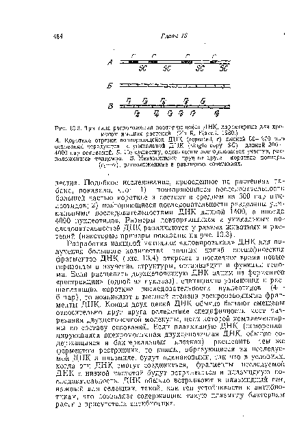 А. Короткие отрезки повторяющейся ДИК (repeated, г) длиной 50—200 пар оснований чередуются с уникальной ДНК (single copy, SC) длиной 200— 4000 пар оснований. Б. По существу, одинаковые повторяющиеся участки, расположенные тандемно. В. Независимые друг/ от друга короткие повторы; (ri—гэ) т расположенные в различных сочетаниях.