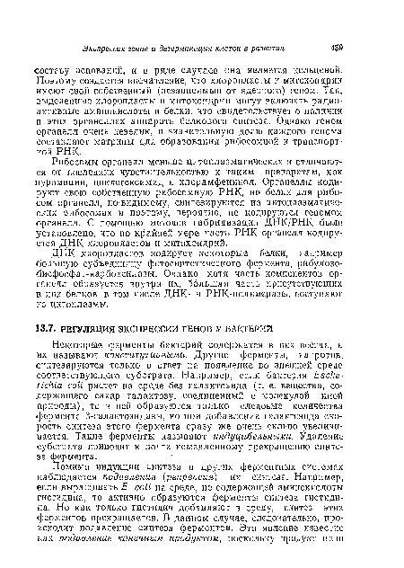 Рибосомы органелл меньше цитоплазматических и отличаются от последних чувствительностью к таким препаратам, как пуромиции, циклогексимид и хлорамфеиикол. Органеллы кодируют свою собственную рибосомную РНК, но белки для рибосом органелл, по-видимому, синтезируются на цитоплазматических рибосомах и поэтому, вероятно, не кодируются геномом органелл. С помощью методов гибридизации ДНК/РНК было установлено, что по крайней мере часть РНК органелл кодируется ДНК хлоропластов и митохондрий.