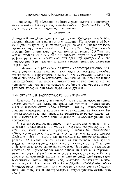 Хотелось бы думать, что способ регуляции экспрессии генов, установленный для бактерий, применим также и к эукариотам. Однако имеется очень мало данных в пользу существования опероиа у эукариот, у которых гены, влияющие на близкие фенотипические признаки, совсем не обязательно расположены рядом и могут быть локализованы даже в нескольких различных, хромосомах.