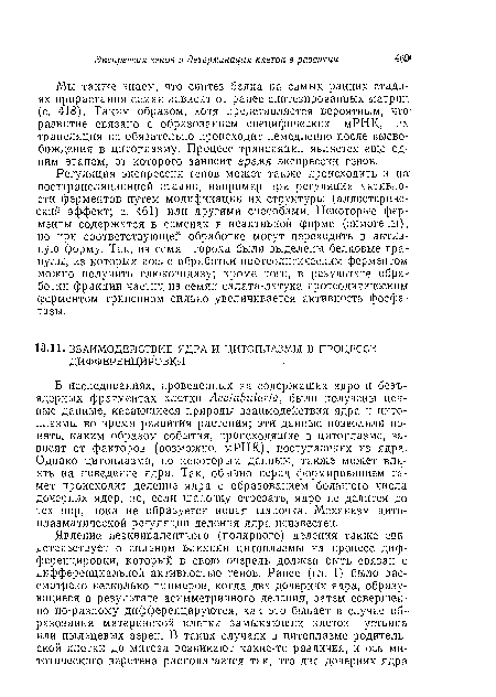 В исследованиях, проведенных на содержащих ядро и безъядерных фрагментах клетки Асе1аЬи1апа, были получены цепные данные, касающиеся природы взаимодействия ядра и цитоплазмы во время развития растения; эти данные позволили понять, каким образом события, происходящие в цитоплазме, зависят от факторов (возможно, мРНК), поступающих из ядра. Однако цитоплазма, по некоторым данным, также может влиять иа поведение ядра. Так, обычно перед формированием гамет происходит деление ядра с образованием большого числа дочерних ядер, но, если шапочку отрезать, ядро не делится до тех пор, пока не образуется новая шапочка. Механизм цитоплазматической регуляции деления ядра неизвестен.