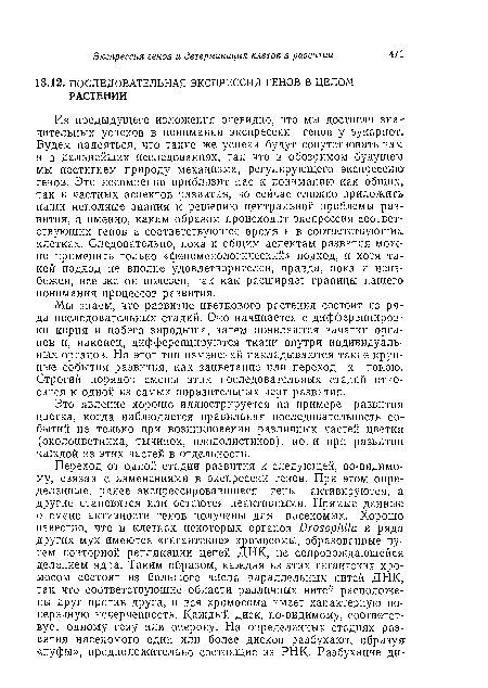 Мы знаем, что развитие цветкового растения состоит из ряда последовательных стадий. Оно начинается с диффереициров-кн корпя и побега зародыша, затем появляются зачатки органов и, наконец, дифференцируются ткани внутри индивидуальных органов. На этот тип изменений накладываются такие крупные события развития, как зацветание или переход к покою.. Строгий порядок смены этих последовательных стадий относится к одной из самых поразительных черт развития.