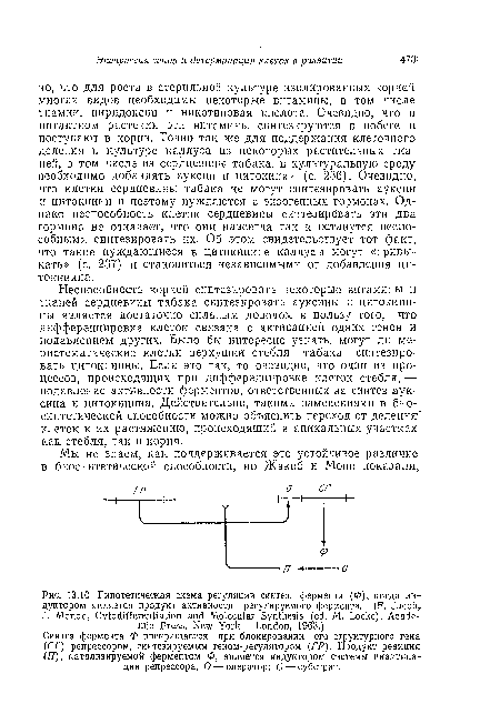 Синтез фермента Ф прекращается при блокировании его структурного гена (СГ) репрессором, синтезируемым геном-регулятором (ГР). Продукт реакции (Я), катализируемой ферментом Ф, является индуктором системы инактивации репрессора. О — оператор; С — субстрат.