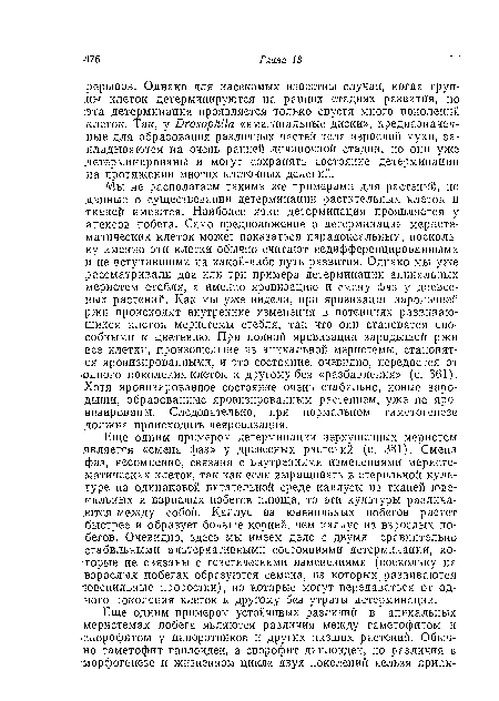 Еще одним примером детерминации верхушечных меристем является «смена фаз» у древесных растений (с. 381). Смена фаз, несомненно, связана с внутренними изменениями меристс-матических клеток, так как если выращивать в стерильной культуре на одинаковой питательной среде каллусы из тканей ювенильных и взрослых побегов плюща, то эти культуры различаются между собой. Каллус из ювенильных побегов растет быстрее и образует больше корней, чем каллус из взрослых побегов. Очевидно, здесь мы имеем дело с двумя сравнительно • стабильными альтернативными состояниями детерминации, которые не связаны с генетическими изменениями (поскольку на взрослых побегах образуются семена, из которых развиваются ювенильные проростки), но которые могут передаваться от одного поколения клеток к другому без утраты детерминации.