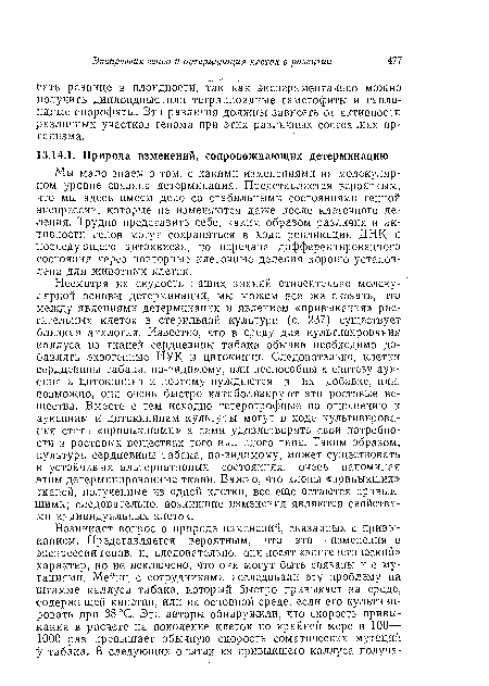 Несмотря на скудость наших знаний относительно молекулярной основы детерминации, мы можем все же сказать, что между явлениями детерминации и явлением «привыкания» растительных клеток в стерильной культуре (с. 237) существует близкая аналогия. Известно, что в среду для культивирования каллуса из тканей сердцевины табака обычно необходимо добавлять экзогенные ИУК и цитокиннн. Следовательно, клетки сердцевины табака, по-видпмому, или неспособны к синтезу ауксина и цитокинииа и поэтому нуждаются в их добавке, или, возможно, они очень быстро катаболизируют эти ростовые вещества. Вместе с тем исходно гетеротрофные по отношению к ауксинам и цитокининам культуры могут в ходе культивирования стать «привыкшими» и сами удовлетворять свои потребности в ростовых веществах того или иного типа. Таким образом, культура сердцевины табака, по-видимому, может существовать в устойчивых альтернативных состояниях, очень напоминая этим детерминированные ткани. Важно, что клоны «привыкших» тканей, полученные из одной клетки, все еще остаются привыкшими; следовательно, возникшие изменения являются свойствами индивидуальных клеток.