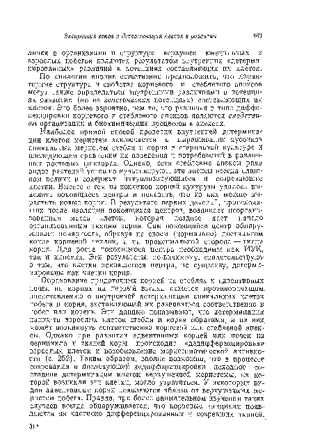 По аналогии вполне естественно предположить, что харак-терные структура и свойства корневого и стеблевого апексов могут также определяться внутренними различиями в потенциях развития (но не генетических потенциях) составляющих их клеток. Это более вероятно, чем то, что различия в типе диффе-репцировки корневого и стеблевого апексов являются следствием организации и биохимических процессов в апексах.