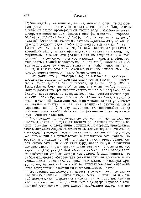 Хотя концепция гистогенов до сих пор применима для меристемы корня, она вряд ли годится для апексов побегов высших растений по следующим причинам. Во-первых, проводящая ткань листовых следов образуется из клеток коры, и эти следы, очевидно, пересекают все границы потенциальных гистогепов, которые могли бы существовать в апикальной зоне побега. Во вторых, мы видели (с. 58), что апекс стебля представляет .собой самоорганизующуюся структуру, обладающую свойством саморегуляции и регенерации. Если это так, то очевидно, что характер дифференцировки клеток в апексе стебля определяется свойствами этой структуры как целого. А если примять, что дифференцировка обусловлена неэквивалентным делением и установлением рядов детерминированных клеток, то следует признать, что организация и свойства апикальной зоны определяются внутренними свойствами составляющих ее клеток.