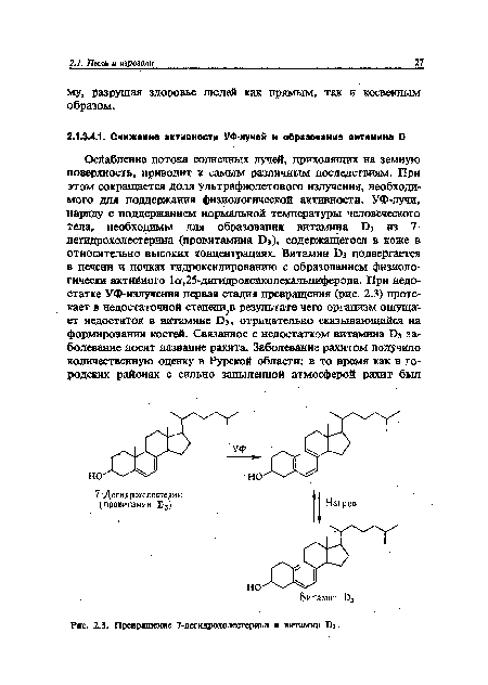 Рис, 2.3. Превращение 7-дегидрохолестерина в витамин .